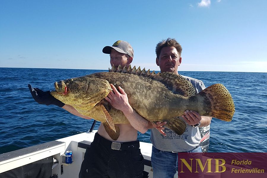 Sport NMB Ferienhäuser