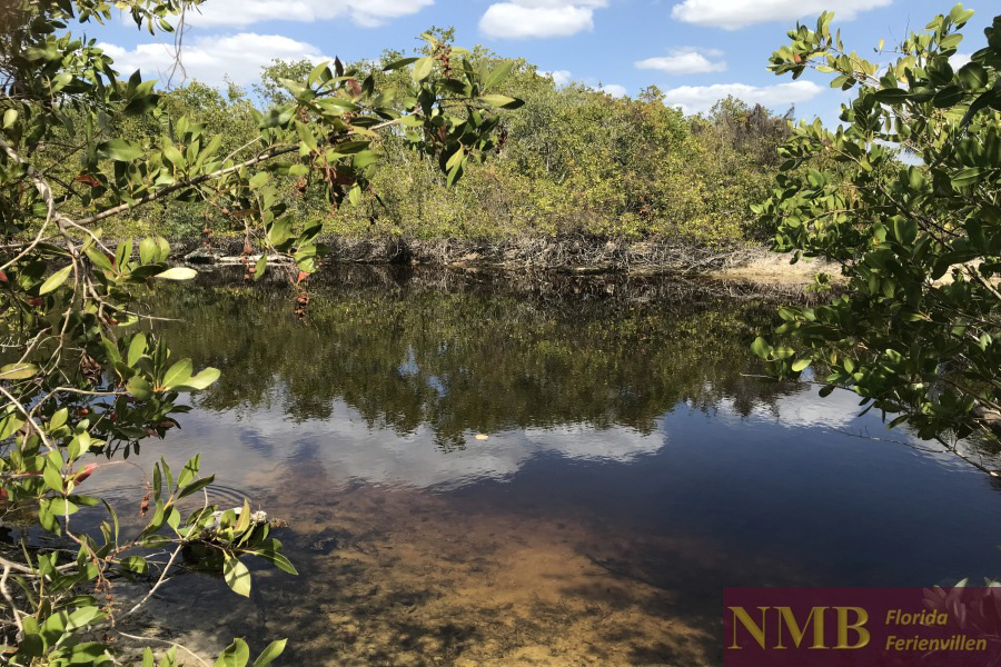 Natur NMB Ferienhäuser