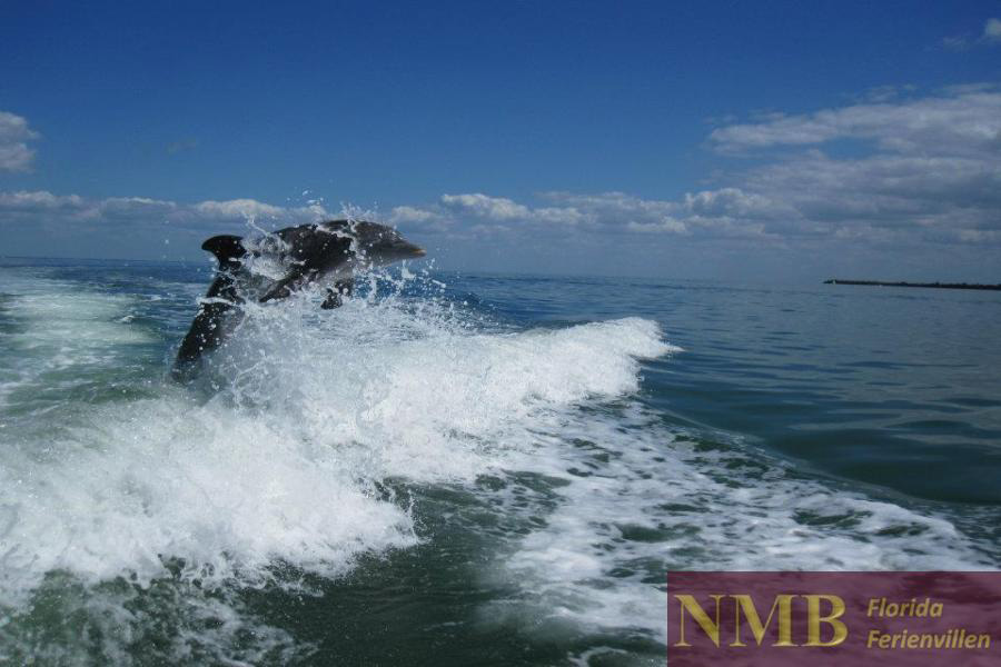Boot NMB Ferienhäuser