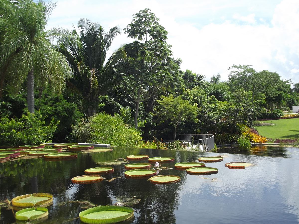 Naples Botanical Garden