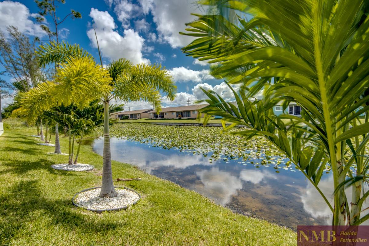 Ferienhaus-Cape-Coral-Momoa_90-Backyard